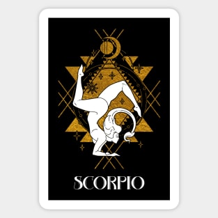 Scorpio zodiac sign Sticker